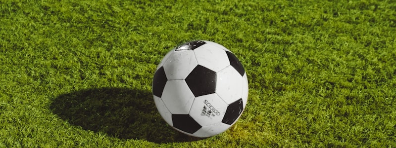 世界杯各球队球迷支持热度示意图